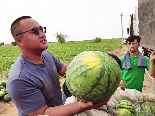 攀枝花吃瓜新闻事件视频,一场引发热议的网络狂欢
