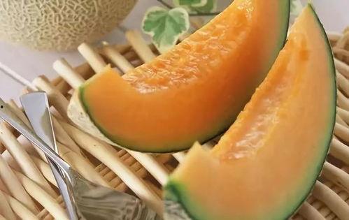 街边买哈密瓜吃视频,哈密瓜现切现吃，感受新疆瓜果的魅力