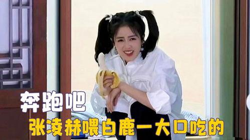 白鹿吃瓜现场视频,笑料百出！