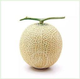 悠闲吃瓜视频,揭秘娱乐圈幕后故事