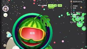 吃瓜视频球球大作战