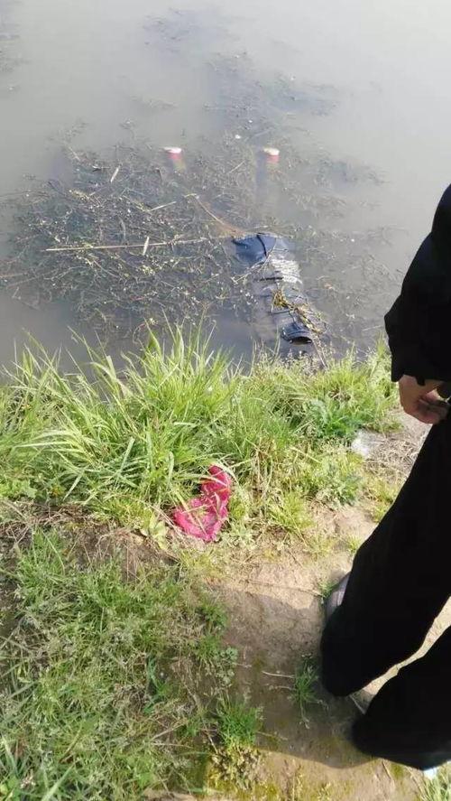 怀宁高河吃瓜事件视频最新,视频揭露惊人真相，引发社会热议