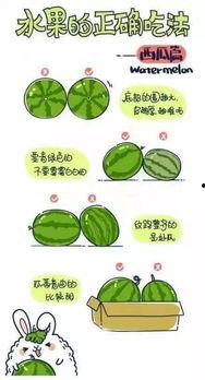 吃瓜手账简单怎么做视频