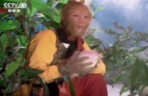 猴哥吃佛手瓜视频播放,趣味食趣大揭秘！