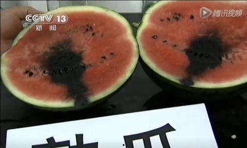 正能量爆料吃瓜视频,揭秘吃瓜视频背后的精彩故事
