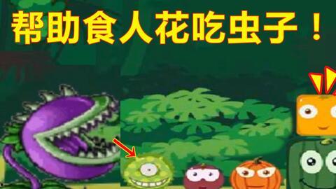 大嘴瓜吃虫子的视频