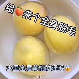 吃梨瓜的小妙招视频,视频教你小妙招